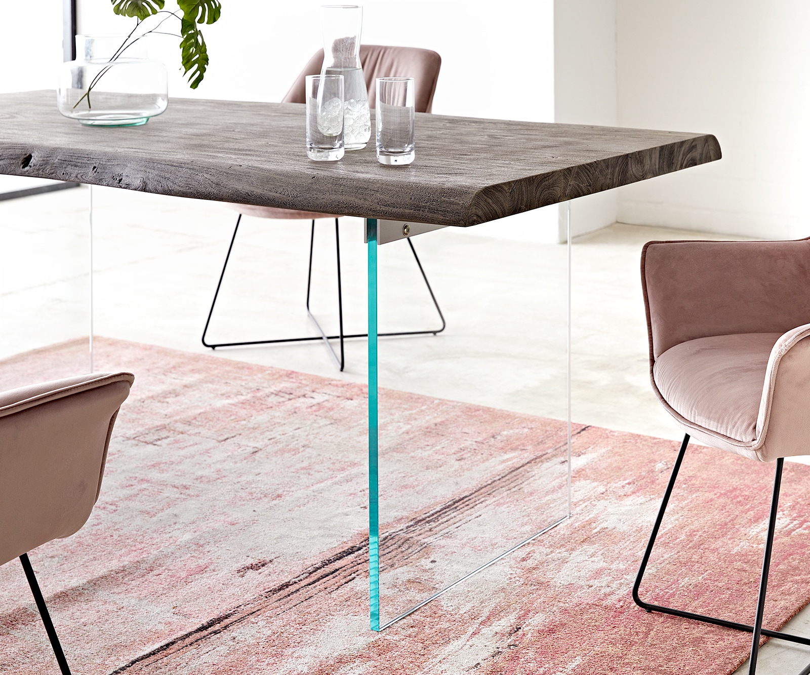 Esstisch Edge 200x100 XL Akazie Platin Glas Live-Edge 5 Esstisch Edge 200x100 XL Akazie Platin Glas Live-Edge 5