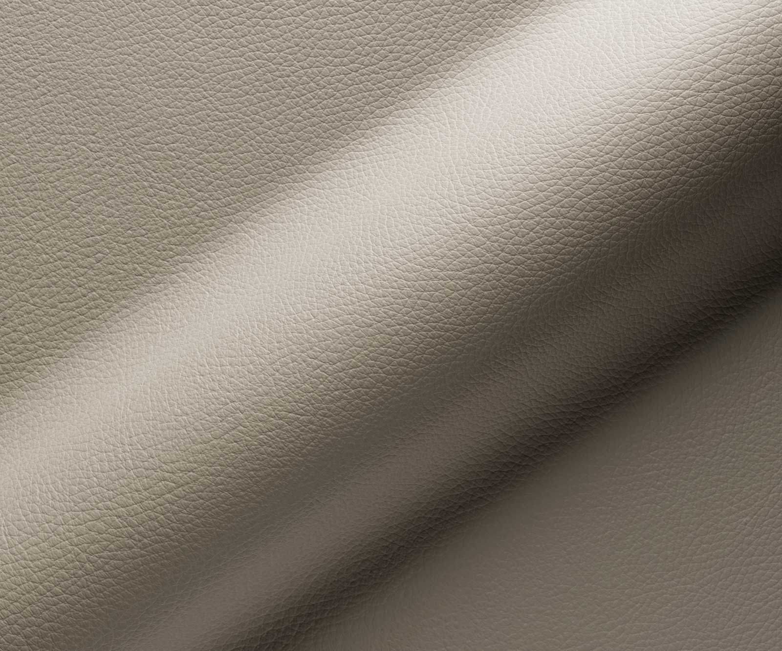 Freischwinger Nube-Flex Echt-Leder Schlamm Freischwinger flach Effektfinish Titan Taschenfederkern 3