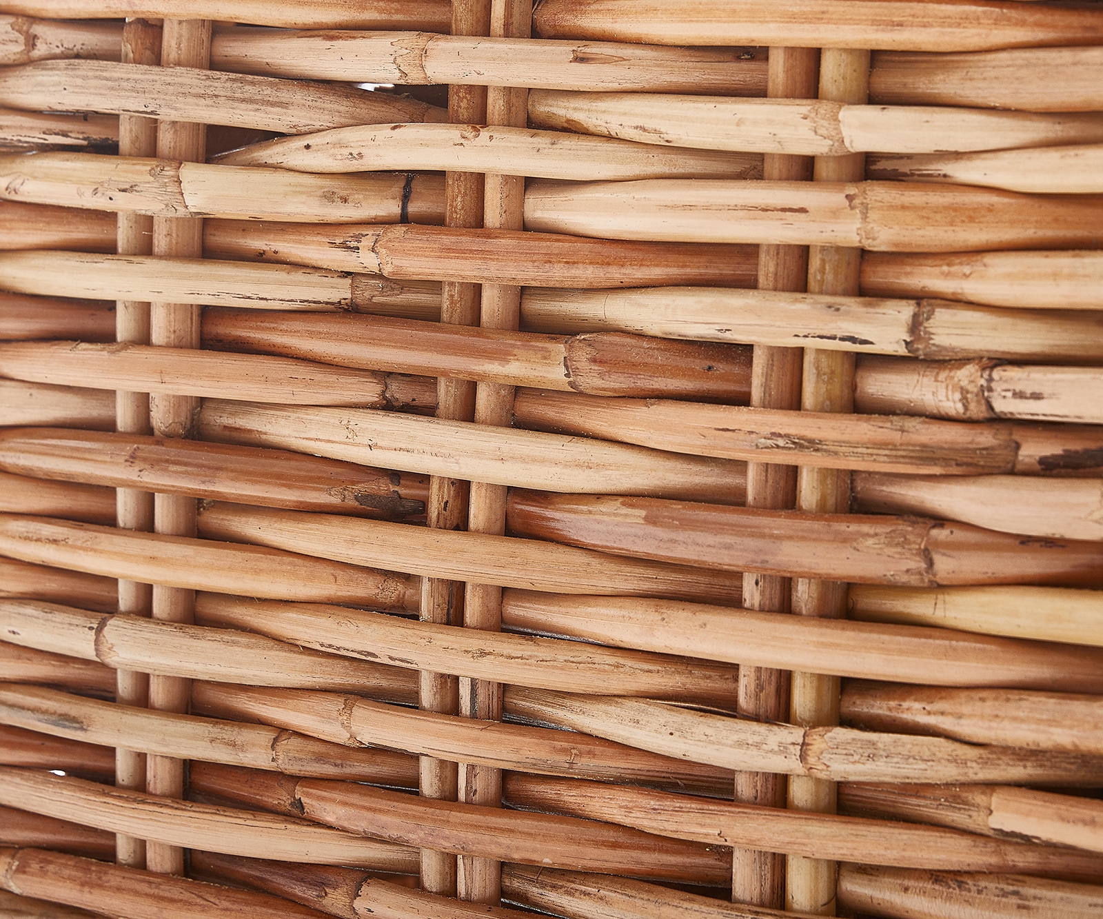 Loungesessel Nizza aus Rattan natur mit Kissen braun 3