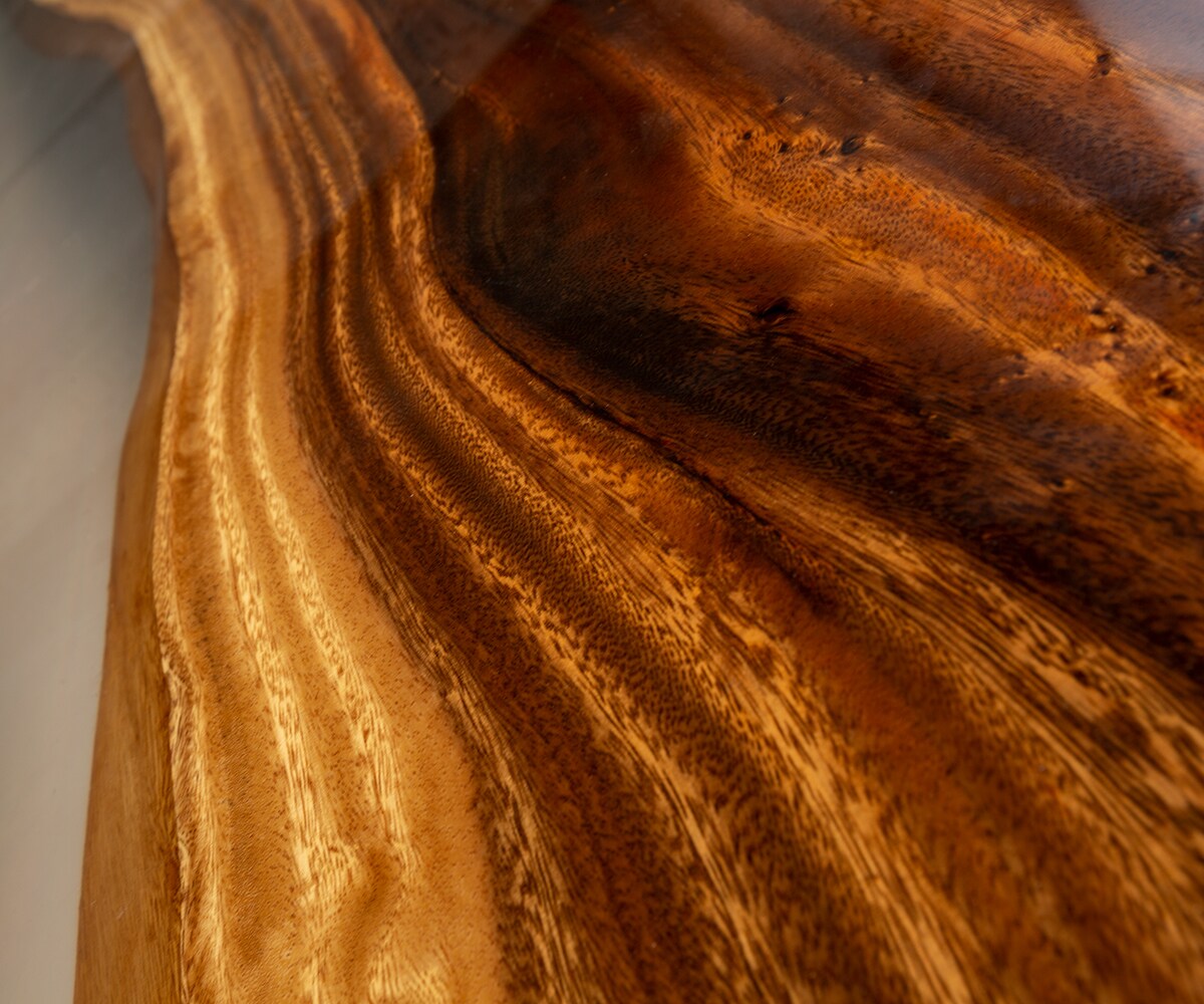Tischplatte Suar 270 cm Epoxid Transparent Unikat Nr. 22115 3