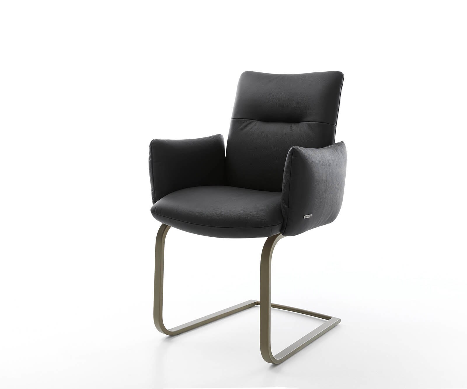 Freischwinger Jova-Flex mit Armlehnen Echt-Leder Schwarz Freischwinger flach Effektfinish Titan Taschenfederkern