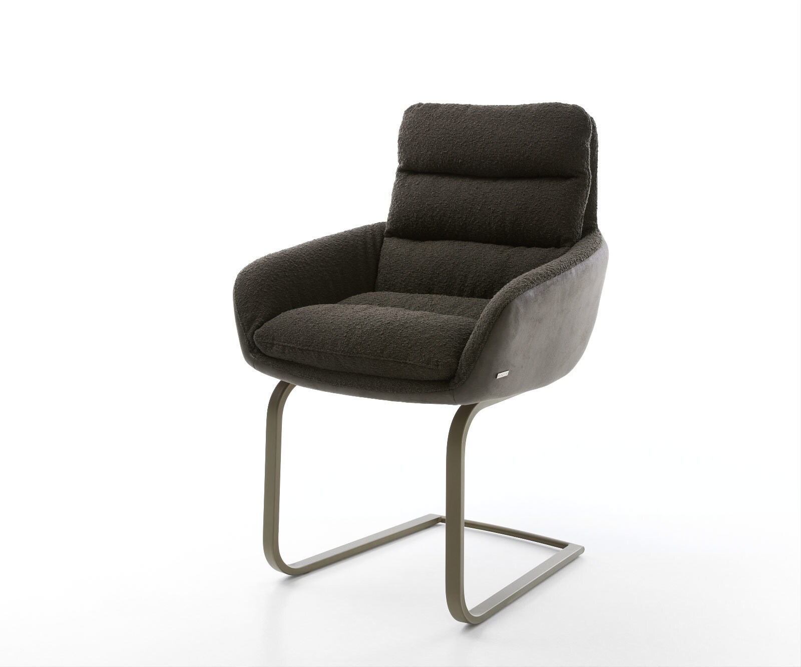 Freischwinger Abelia-Flex mit Armlehnen Materialmix Schwarz Freischwinger flach Effektfinish Titan 1