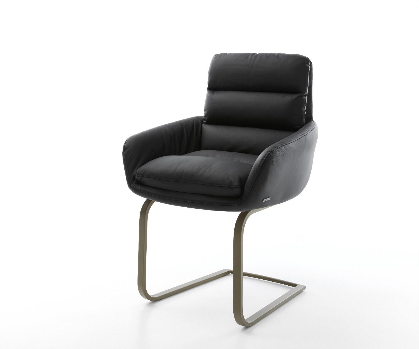Freischwinger Abelia-Flex mit Armlehnen Echt-Leder Schwarz Freischwinger flach Effektfinish Titan 1